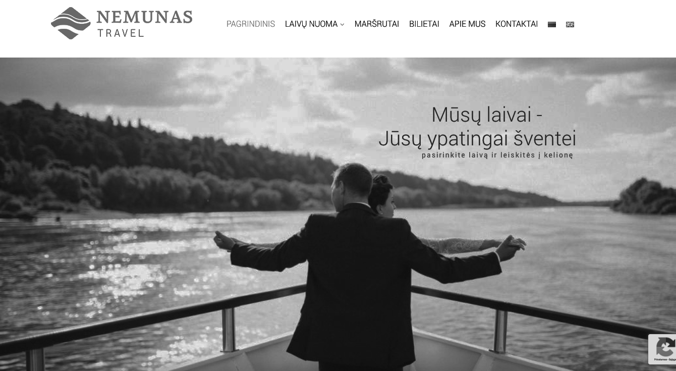 Interneto svetainių kūrimo konsultantas